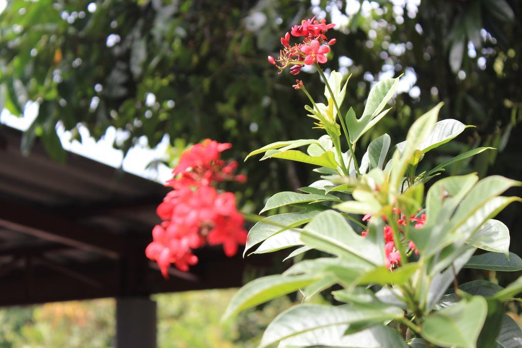 Lanta Happy Hill Hotel Ko Lanta Exterior foto